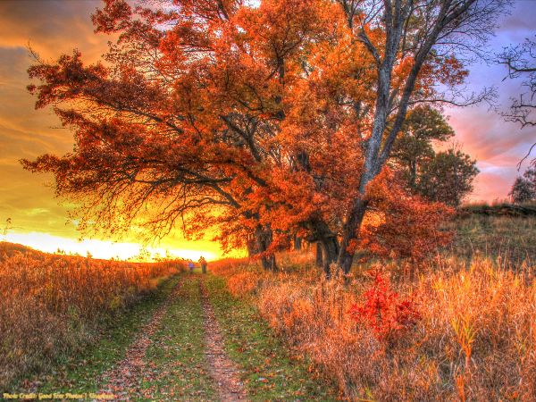 Today’s #SoulFood | Gabrielle Bernstein