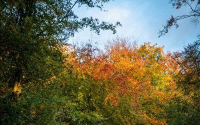 Today’s #SoulFood | Jennifer Edwards