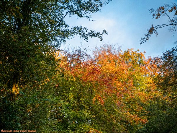 Today’s #SoulFood | Jennifer Edwards