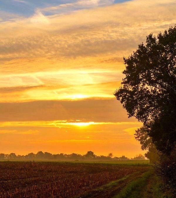 Today’s #SoulFood | Carl Gustav Jung