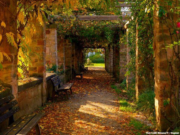 Today’s #SoulFood | Ralph Marston