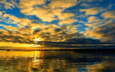 Today’s #SoulFood | James Clear