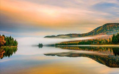 Today’s #SoulFood | Amy Poehler