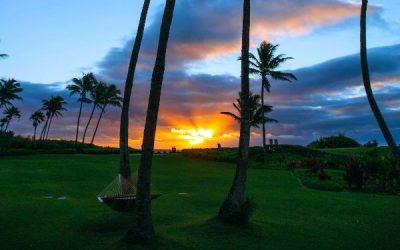 Today’s #SoulFood | Walt Disney