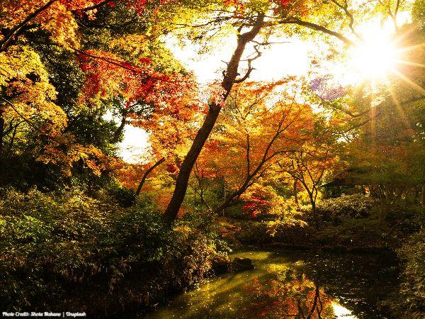 Today’s #SoulFood | Prasad Mahes