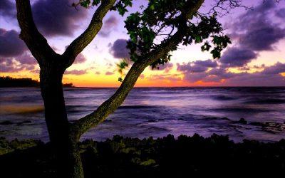 Today’s #SoulFood | Joan Didion