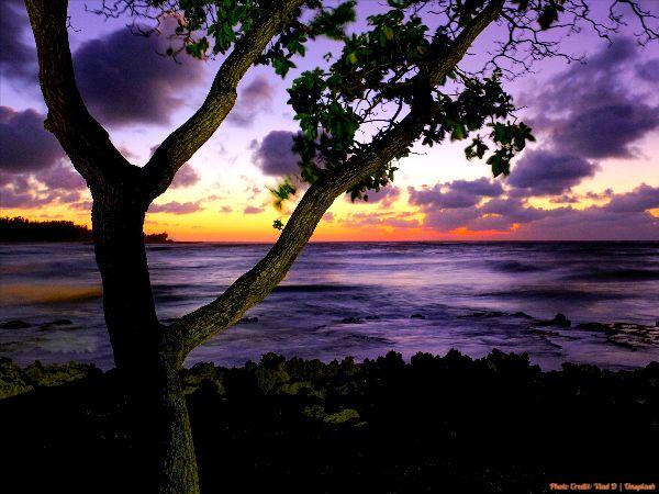 Today’s #SoulFood | Joan Didion