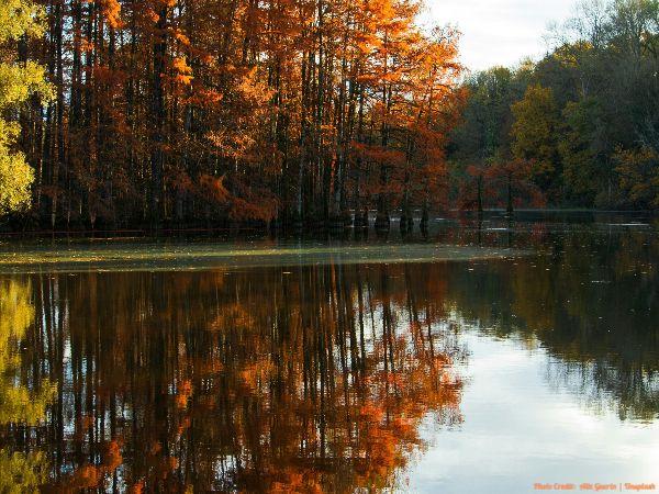 Today’s #SoulFood | Eleanor Roosevelt