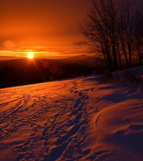 Today’s #SoulFood | Mata Amritanandamayi