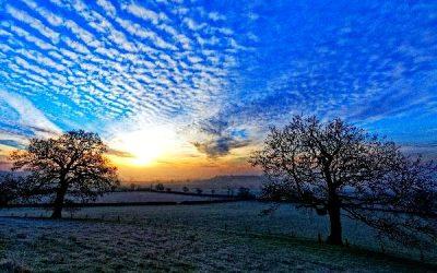 Today’s #SoulFood | Neale Donald Walsch