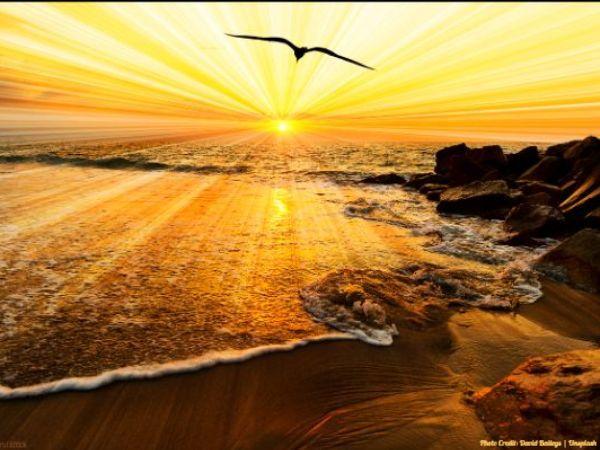 Today’s #SoulFood | Gisele Bündchen