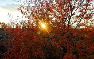 Today’s #SoulFood | Mattie Stepanek