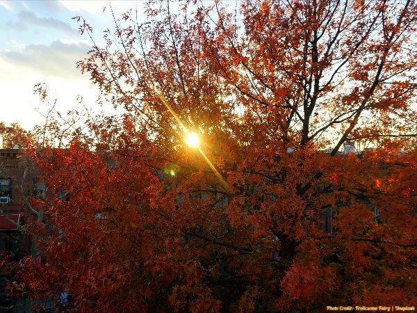 Today’s #SoulFood | Mattie Stepanek