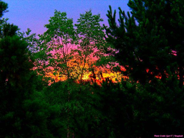 Today’s #SoulFood | Mother Teresa