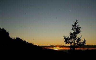 Today’s #SoulFood | Maya Angelou