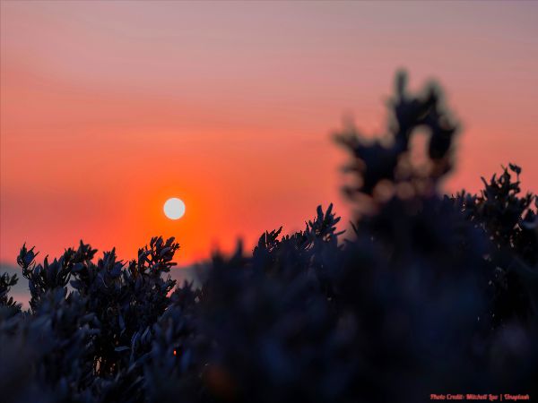 Today’s #SoulFood | Sophia Loren