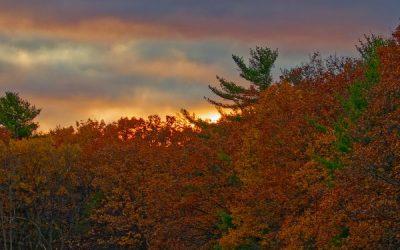 Today’s #SoulFood | Eric Butterworth