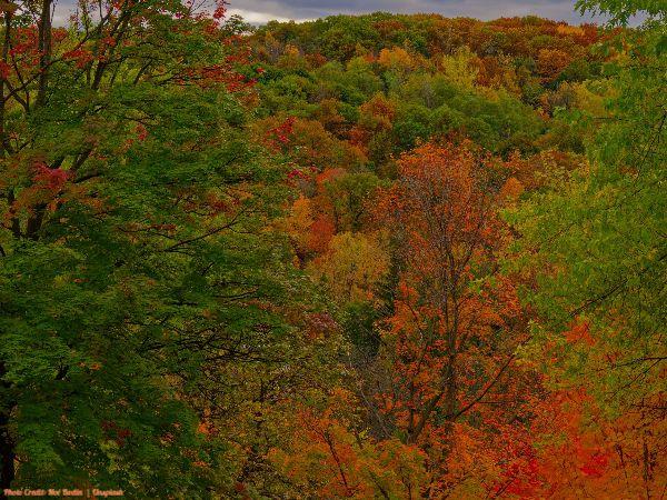 Today’s #SoulFood | Donna Marie