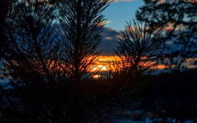 Today’s #SoulFood | Tony Schwartz