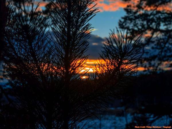 Today’s #SoulFood | Tony Schwartz