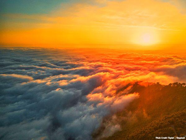 Today’s #SoulFood | Gertrude Stein