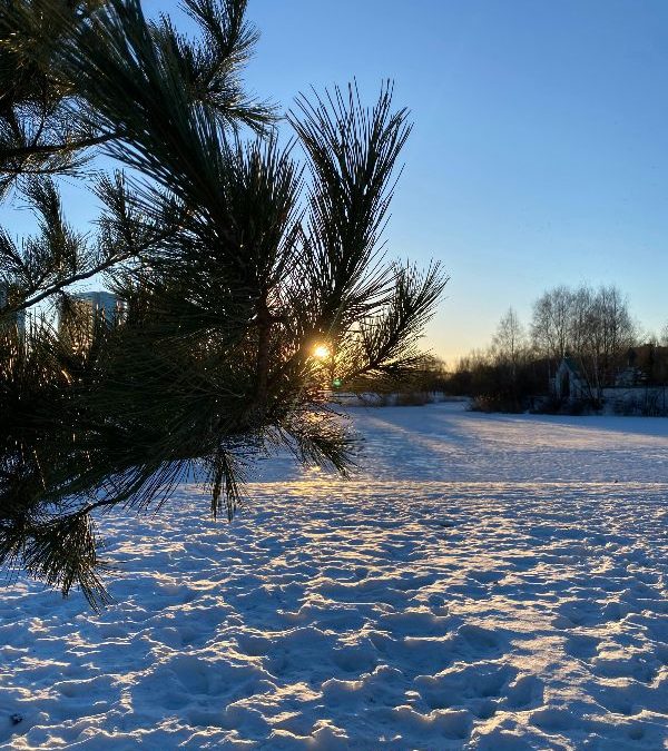 Today’s #SoulFood | William James