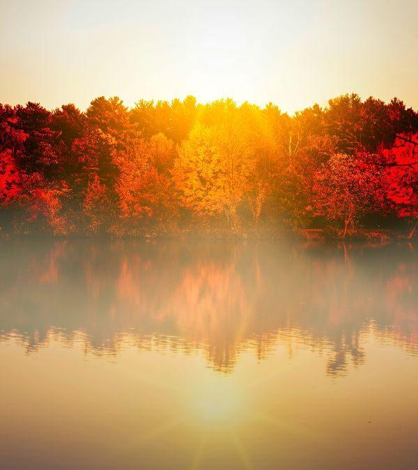 Today’s #SoulFood | Alice Walker