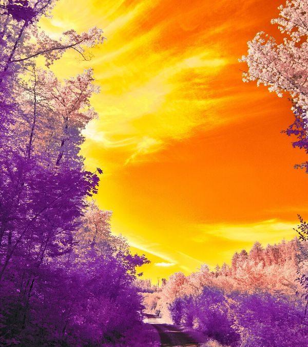 Today’s #SoulFood | Albert Einstein