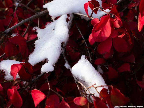 Today’s #SoulFood | Brené Brown