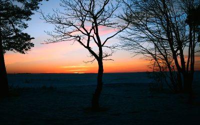 Today’s #SoulFood | Marcel Proust