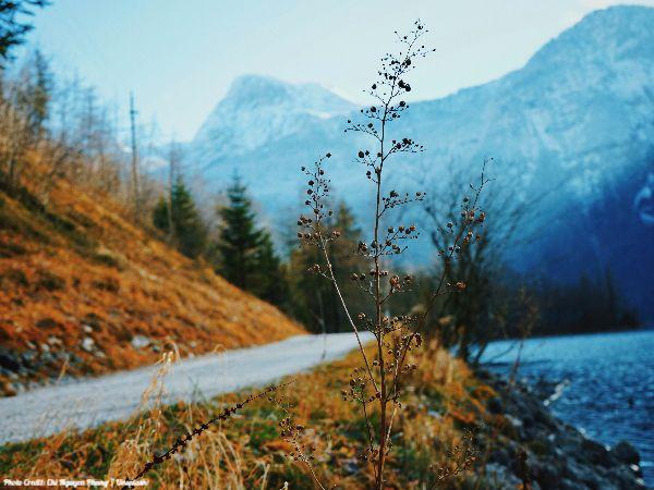 Today’s #SoulFood | Chögyam Trungpa