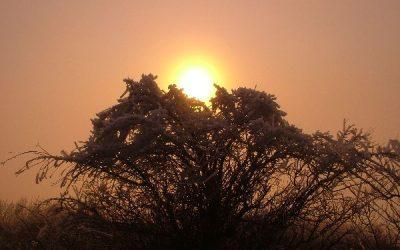 Today’s #SoulFood | Ryan Holiday