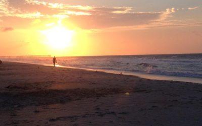 Today’s #SoulFood | Anne Lamott