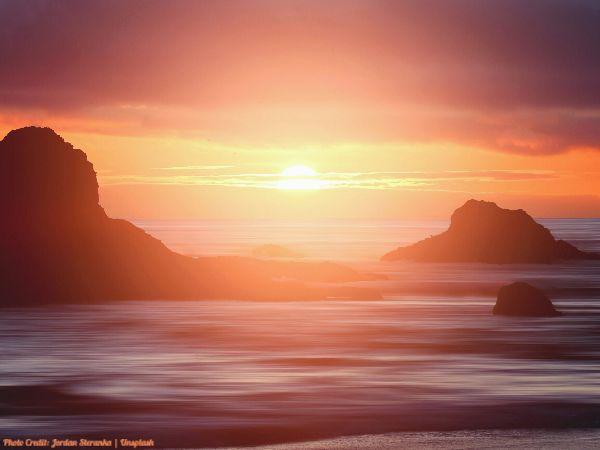 Today’s #SoulFood | Albert Schweitzer