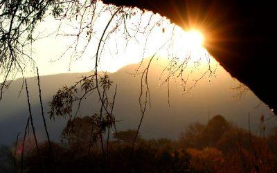 Today’s #SoulFood | Mark Nepo