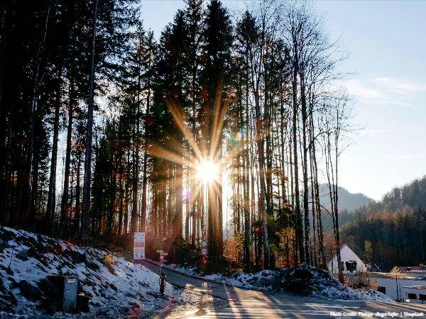 Today’s #SoulFood | Saint Francis de Sales