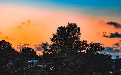 Today’s #SoulFood | Dr. Wayne Dyer