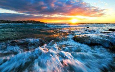 Today’s #SoulFood | Tara Brach