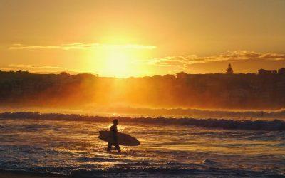 Today’s #SoulFood | Cheryl Strayed