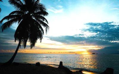 Today’s #SoulFood | Pema Chödrön